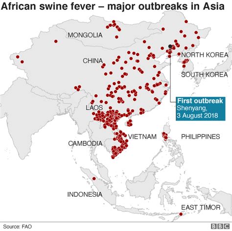 African Swine Fever Fears Rise As Virus Spreads To Indonesia Bbc News