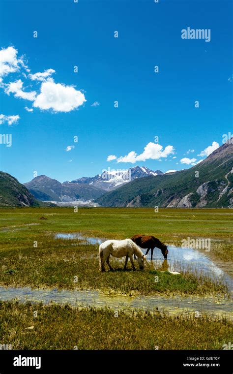 Rawu Nyingchi Tibet Beautiful Landscape Of Laigu Glacier In The