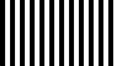 Black And White Lines Basic Animation
