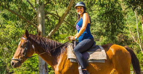 Sydneys Best Horse Riding Horse Riding Riding Lessons Trail Rides