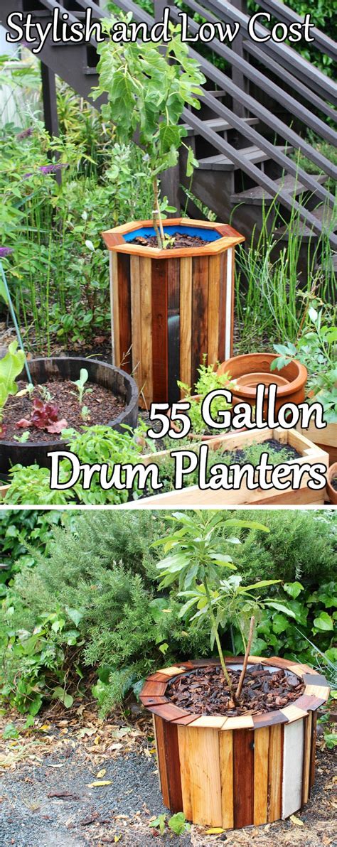 Stylish And Low Cost 55 Gallon Drum Planters Planter Gardening