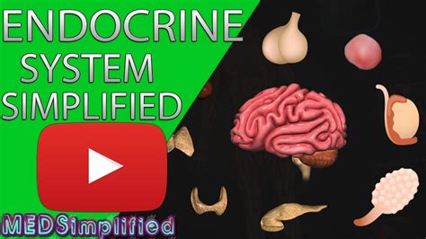Human Endocrine System Made Simple Endocrinology Overview Youtube