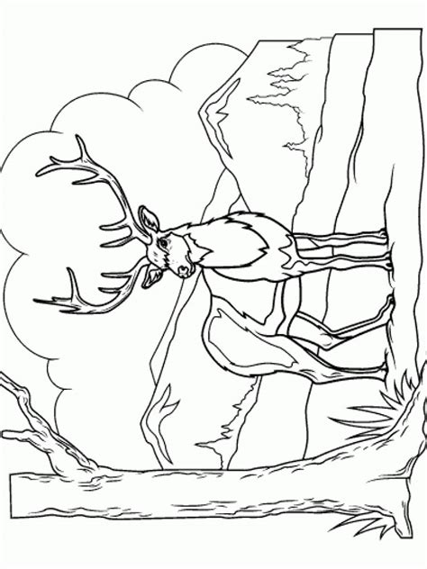 You might also be interested in. Deer coloring pages. Download and print Deer coloring pages