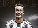 Botafogo anuncia a contratação de Ivan Angulo, do Palmeiras - OneFootball