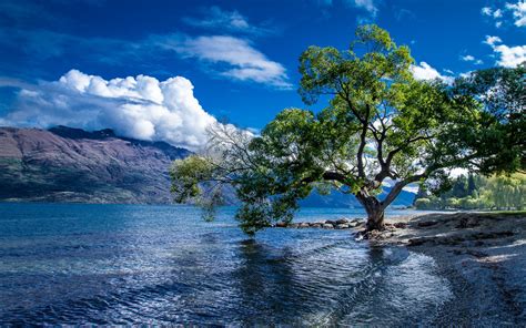 Lake Wakatipu Queenstown New Zealand Landscape Wallpaper Hd