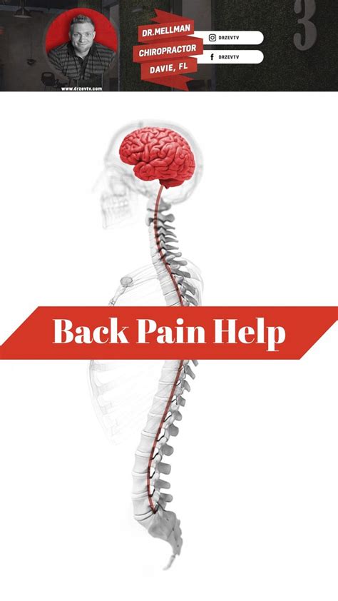 Pin On Neck And Back Pain