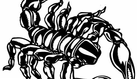 Scorpion coloring pages to download and print for free