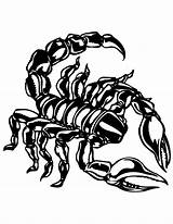 Scorpion Coloring Pages Color Print Kids Shells sketch template