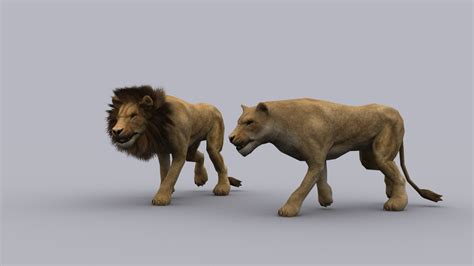 3d Model Lion Game Ready Animated Model Vr Ar Low Poly Max Cgtrader