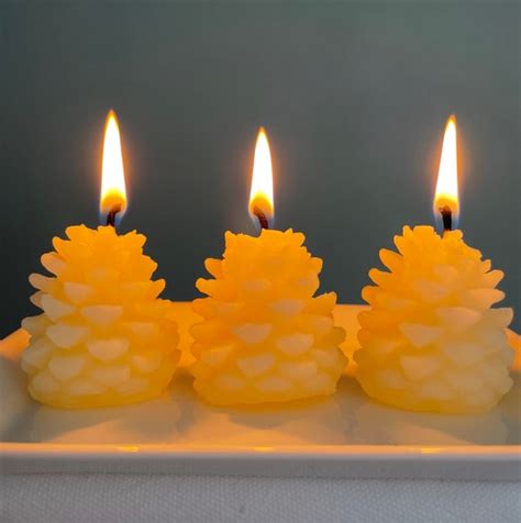 Pure Beeswax Pine Cone Candles In Ivory White Cute Little Etsy