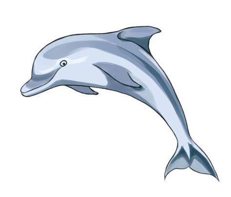 How To Draw Dolphine Lessdraw