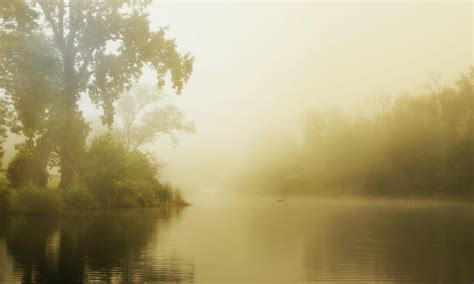 Summer Fog Lake Morning Forest Mood Wallpaper 2048x1229 182399