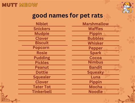 Good Names For Pet Rats Mutt Meow