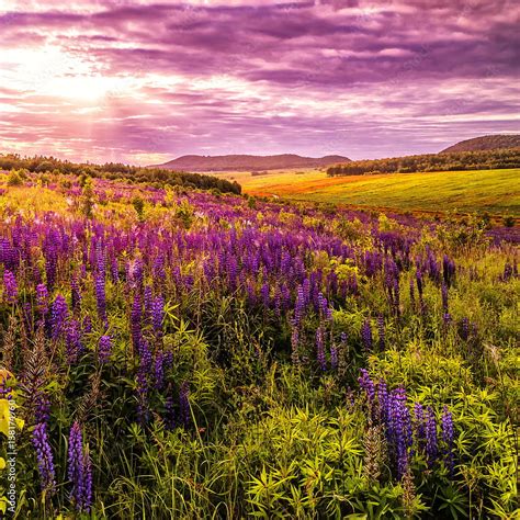 Fantastic Colorful Landscape Overcast Clouds Glowing In Sunlight At