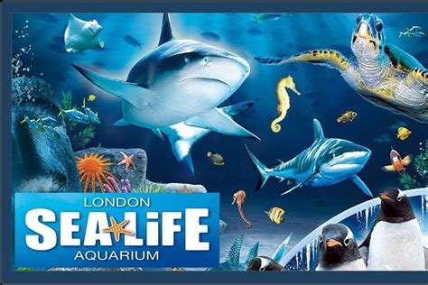 2024 Sea Life London Aquarium Tripadvisor