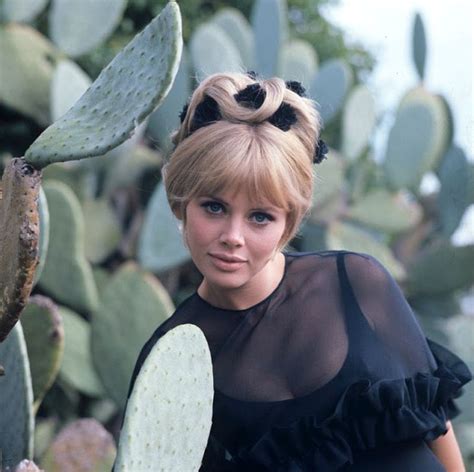 Britt Ekland The 1960s Swedish Beauty Icon Vintage News