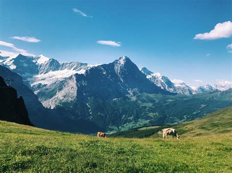 Alps Tours Swiss Hiking And Walking Tours Haute Route