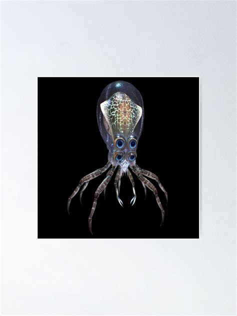 Subnautica Crabsquid Poster For Sale By Immortalfoxy Redbubble