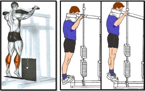 How To Calf Raise Plate Loaded Variation Exercise Video And Guide