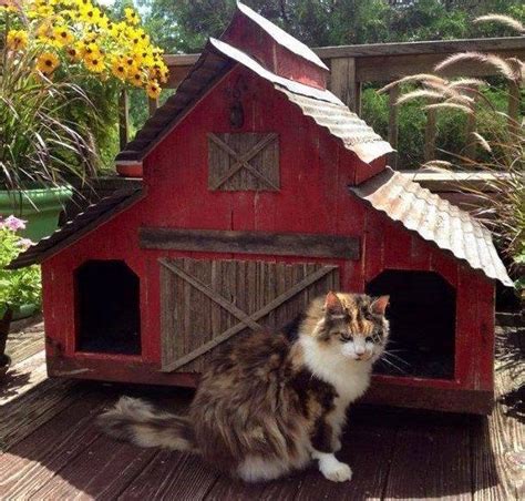 For The Mini Garden Outdoor Cat House Feral Cat House Cat House Diy