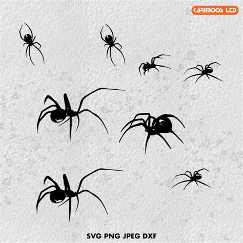 Spider SVG | Karimoos