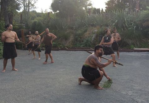 Tamaki Maori Village Backpacker Deals