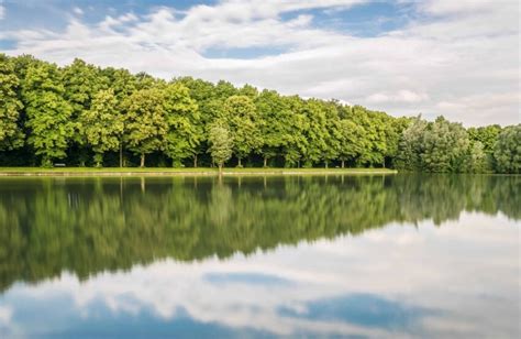 Free Picture Water Lake Nature Summer Reflection Tree Landscape