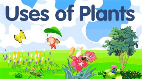 Uses Of Plants For Kids Plants And Their Uses Plants Uses Youtube