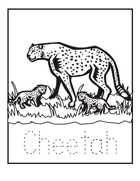 Have a peek at our special selection of easter eggs and bunny coloring pages free of charge. Cheetah coloring pages to download and print for free