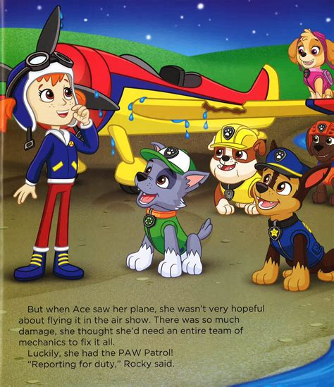 Paw Patrol Skyes Got To Fly Bookxcess Online