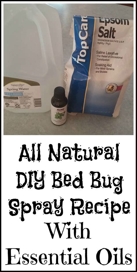 Homemade Bed Bug Spray With Tea Tree Oil How To Get Rid Of Bed Bugs