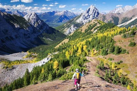 The 6 Best Larch Hikes In Banff Alberta Artofit