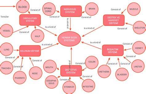 Science Mind Maps Concept Map Science Mind Map Concept Map Porn Sex