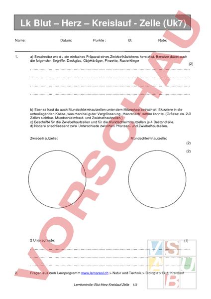 1300 arbeitsblätter für den deutschunterricht. Arbeitsblatt: LZK Blut Kreislauf Zelle - Biologie ...