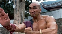 American Shaolin (Movie, 1991) - MovieMeter.com
