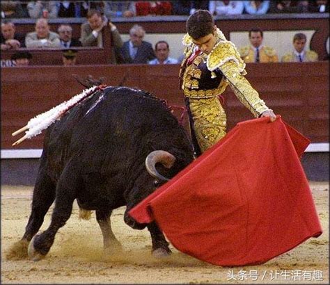 Перевод '西班牙' с китайского на русский: 西班牙鬥牛應不應該保留？ - 每日頭條
