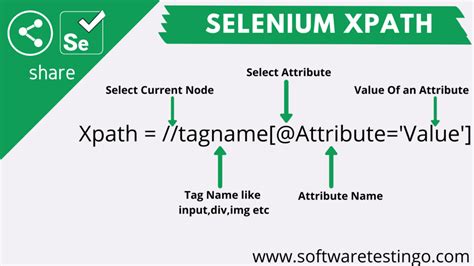 XPath In Selenium WebDriver Complete Tutorial Updated 2024