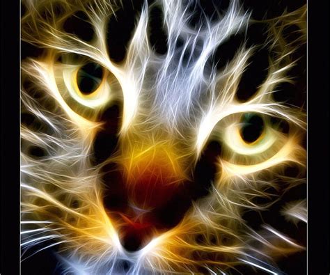 Fractal Cat Face Bonito Cat Fractal Hd Wallpaper Peakpx