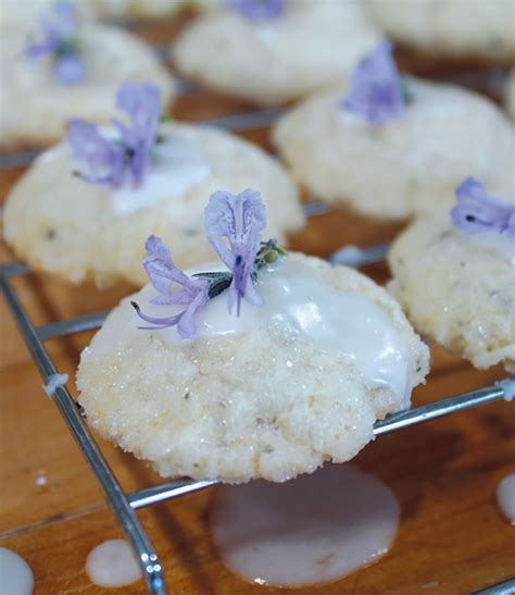 Lemon Lavender Cookies Edible Delmarva
