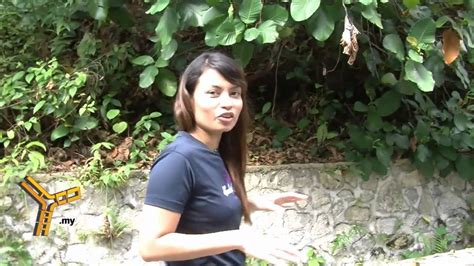 Tak pasal2 traffic jam kat tmn. Spotlight - Bukit Kiara Park - YouTube