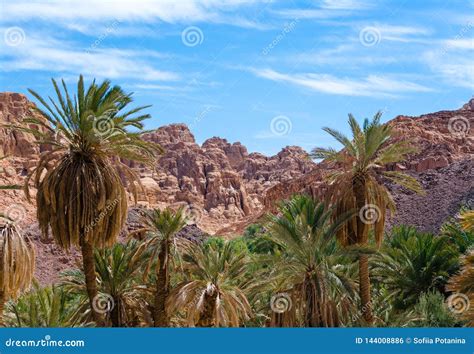 Oasis With Palm Trees In The Desert Among The High Rocky Mountains In
