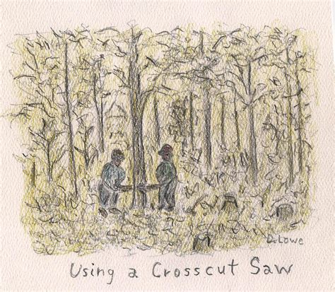 Using A Crosscut Saw Drawing By Danny Lowe Pixels