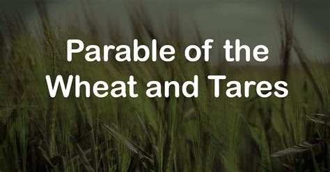 Unchained Disciples The Parable Of The Wheat And The Tares Hot