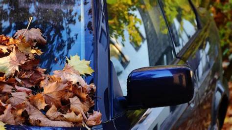Prepare Your Car For This Fall Some Good Tips Villegas Auto Repair