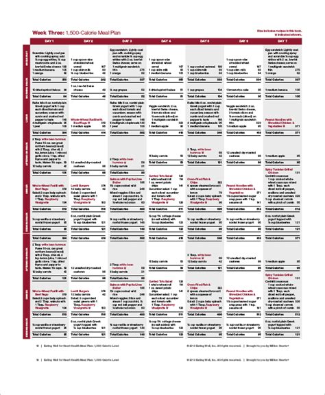 Free 8 Sample Healthy Meal Plan Templates In Pdf