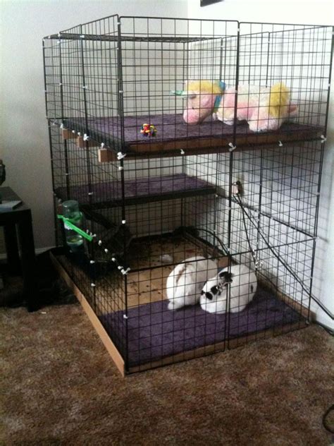 Diy Bunny Cage Floor Our New Rabbit Condo Spruce 1x2 And Spruce