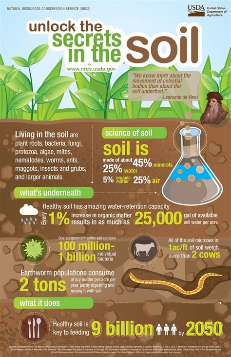 6 Fabulous Infographics About Soil Health Infographic