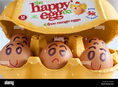 Carton Of The Happy Egg Co 6 Free Range Eggs British Lion Quality M