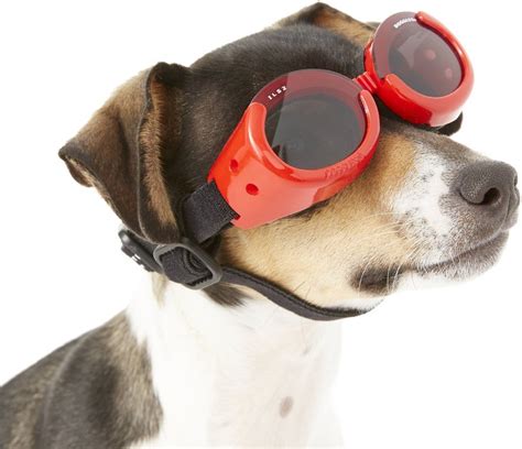 Doggles Ils Dog Goggles Red X Small