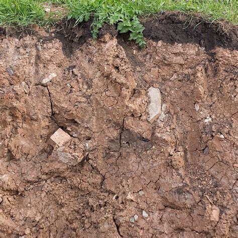 Hd Wallpaper Texture Layer Earth Soil Section Cross Ground Dirt